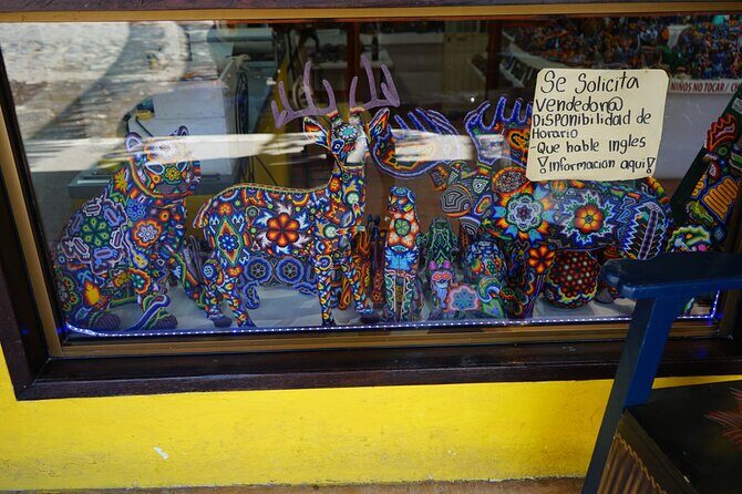 Parachute Experience in Puerto Vallarta - Who Should Consider This Experience?