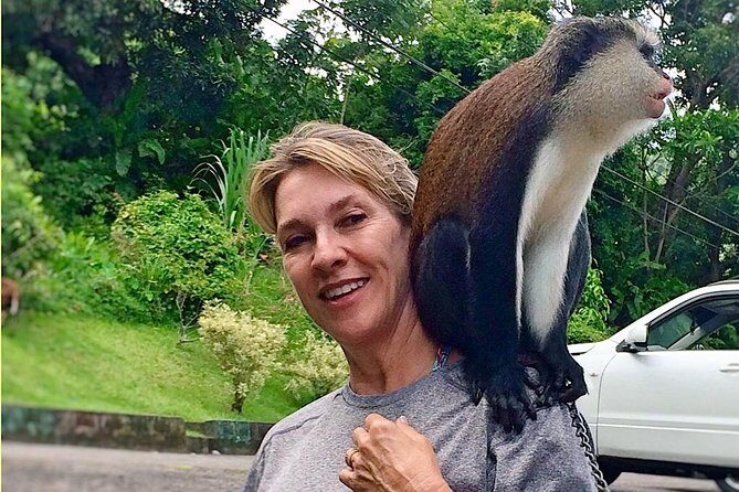 Paradise Cascades: Discover Grenada's Majestic Waterfalls Tour - FAQ