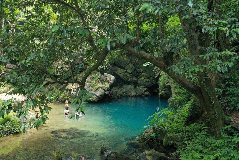 Paradise Cave and Phong Nha Cave Day Trip - Trip Overview and Pricing