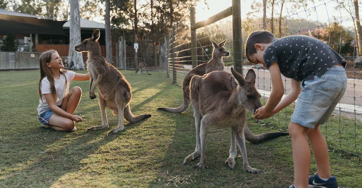 Paradise Country: Ultimate Aussie Farm Experience - Inclusions