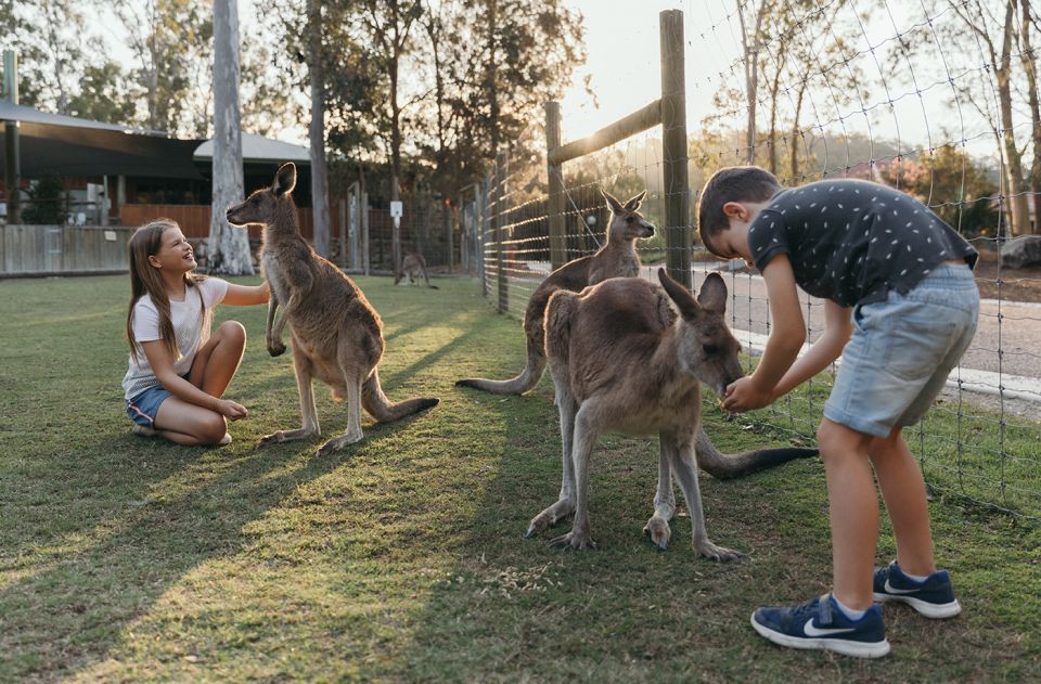 Paradise Country: Ultimate Aussie Farm Experience - Customer Reviews