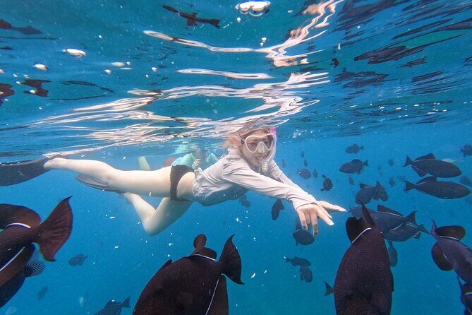 Paradise Honu Snorkeling Tour - Who Is This Tour Best For?