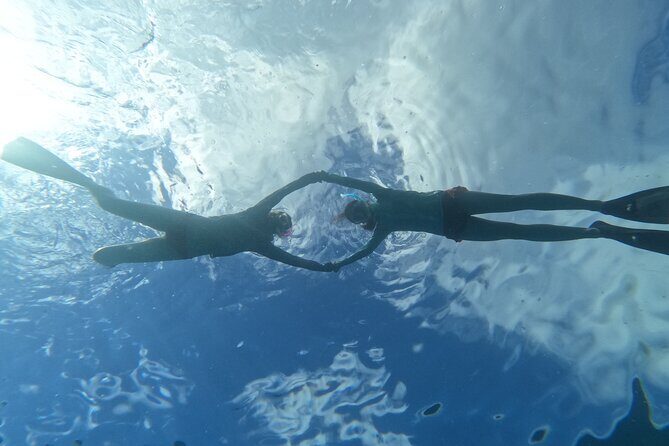 Paradise Honu Snorkeling Tour - Final Thought