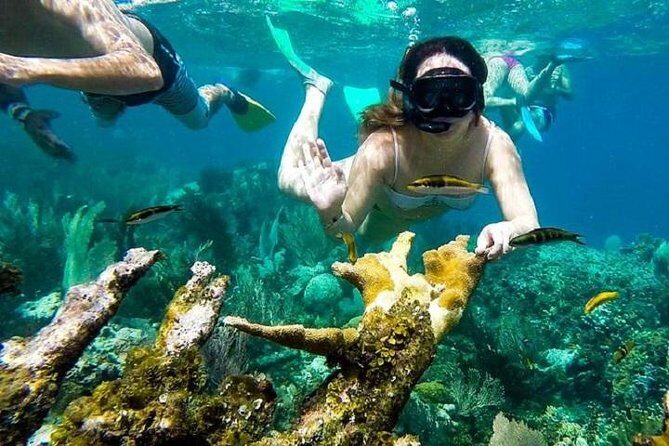 Paradise Island Cayo Arena & Mangroves from Puerto Plata (Full Day) - FAQ