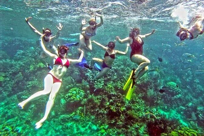 Paradise Island Cayo Arena Tour Snorkeling, Mangroves, Local Food - FAQ