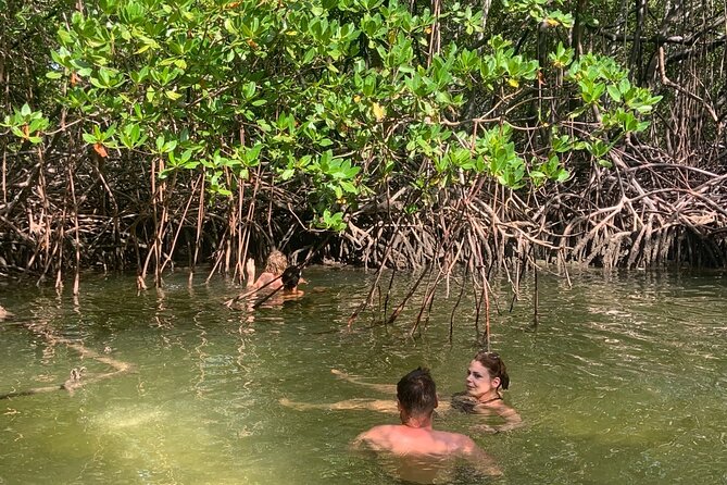 Paradise Island Cruise Snorkeling Excursion - Tips for a Great Experience