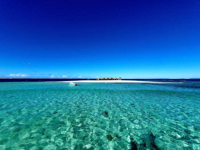 Paradise Island Private Tour +Snorkeling +Manatee Sanctuary - Snorkeling Experience