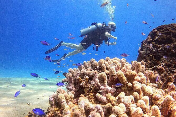 paradise island ( punta rucia) - Who Would Love This Tour?