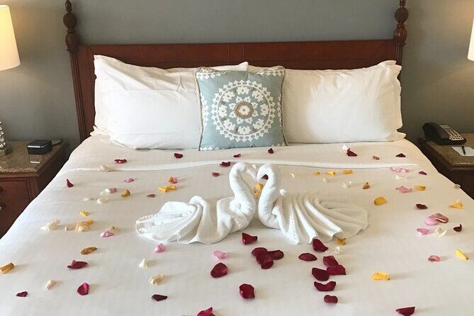 PARADISE TAXI & TOURS USVI-St. Thomas- Airport Transfer to Ritz Carlton Elysian - Who Will Love This?