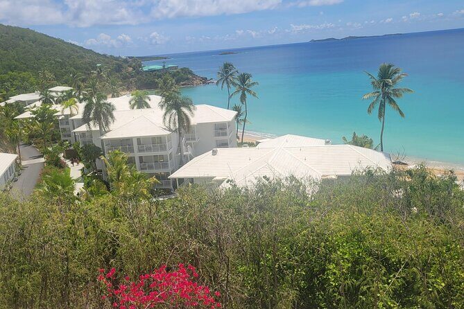 PARADISE TAXI & TOURS USVI-Transport Frenchmans Reef / Buoy Haus - FAQs