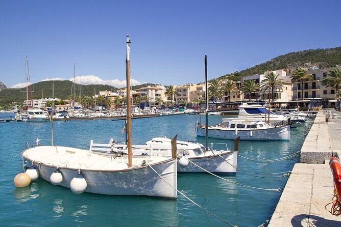 Paradise Tour Catamaran Review: Worth It - Is It Worth It?