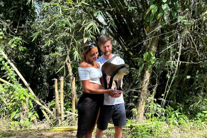 Paradise Unveiled Full Day Island Escape - Nature’s Masterpiece: Grand Etang Lake