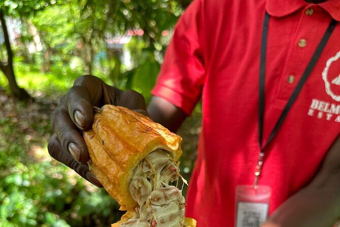 Paradise Unveiled Full Day Island Escape - A Final Word: Who Is This Tour Best For?