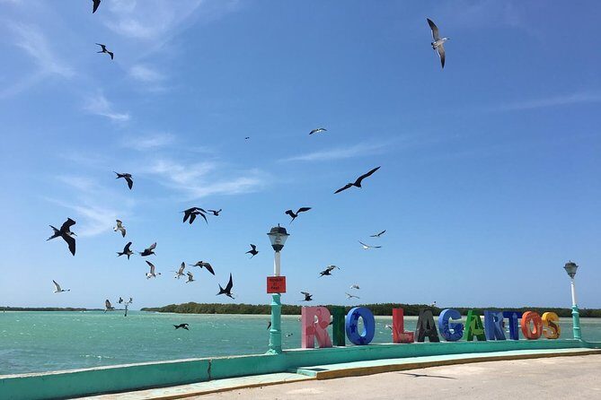 Paradisiacal tour: Las Coloradas Pink Lake and Rio Lagartos with Lunch included. - FAQ