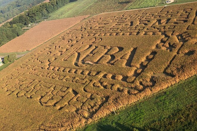 Paraglider Flight With a Certified Instructor - Enjoy the Paragliding Adventure