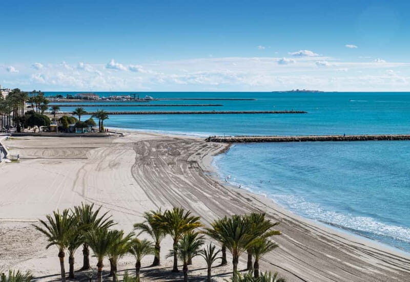 Paragliding adventure in Santa Pola from Alicante, including pick-up in a van. - Key Points