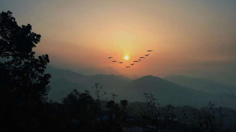 Paragliding in Pokhara: Ultimate Aerial Adventure Awaits - What to Expect: An In-Depth Look at the Tour