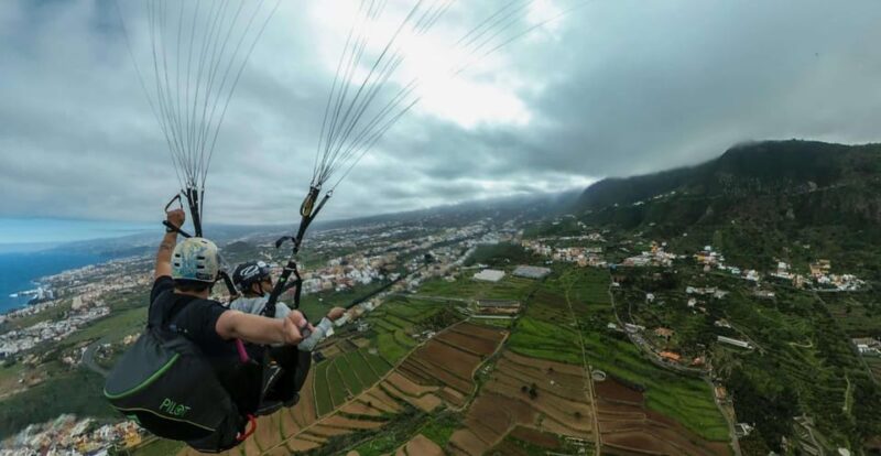 Paragliding in Puerto De La Cruz - Traveler Testimonials and Ratings