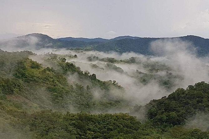 Paramin Jeep Tour in Trinidad - FAQ