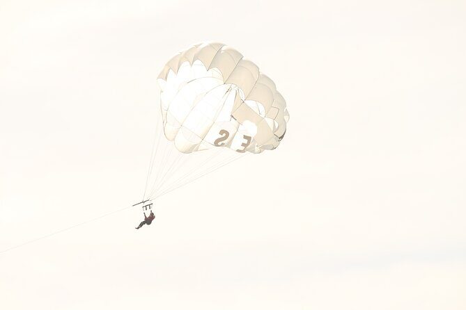 Parasailing Adventure in Los Cabos - Authentic Feedback