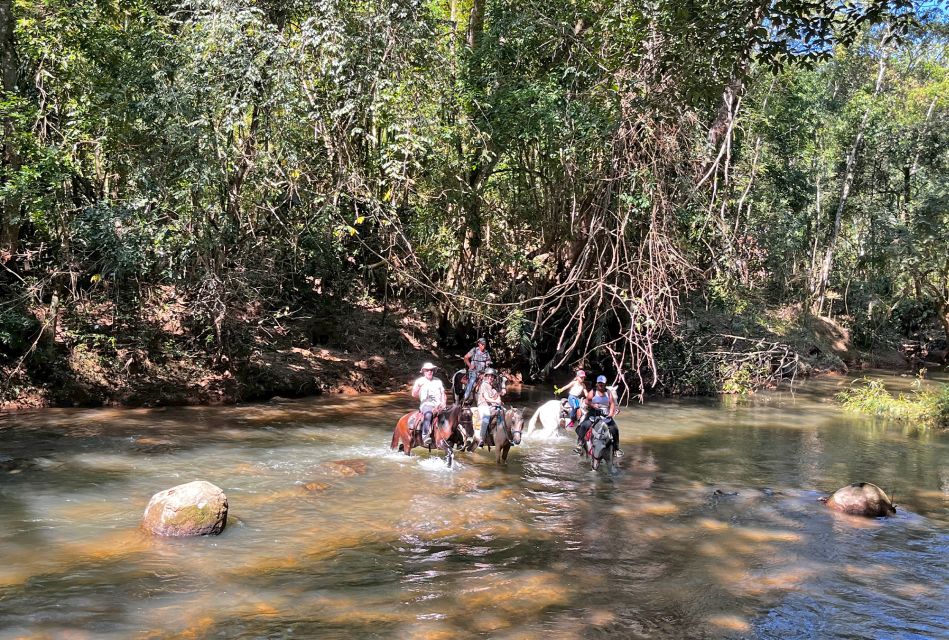 Paraty: 3-Hour Rainforest Horseback Ride - Itinerary Details