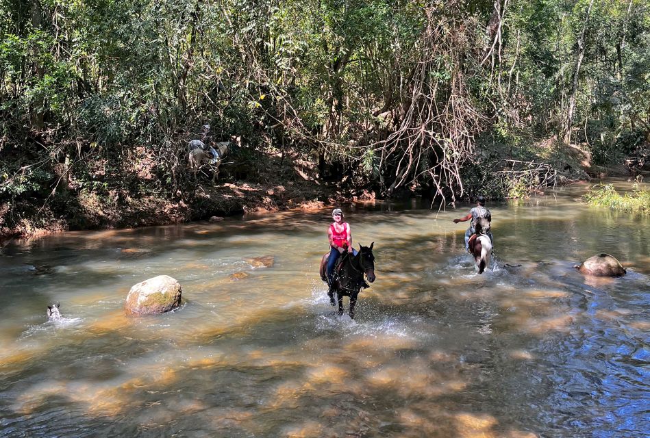 Paraty: 3-Hour Rainforest Horseback Ride - What to Bring