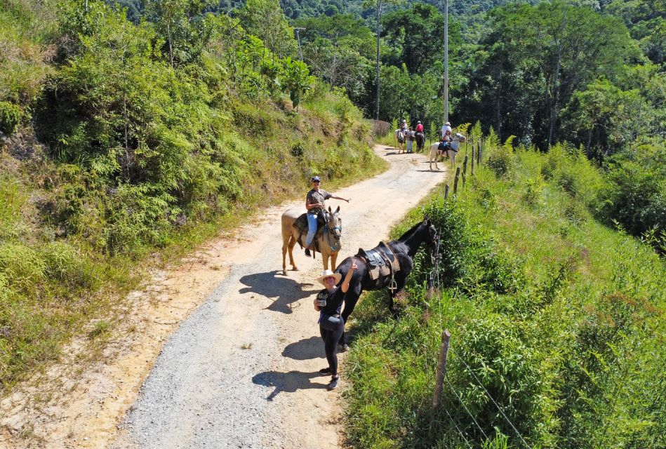 Paraty: 3-Hour Rainforest Horseback Ride - Safety and Requirements
