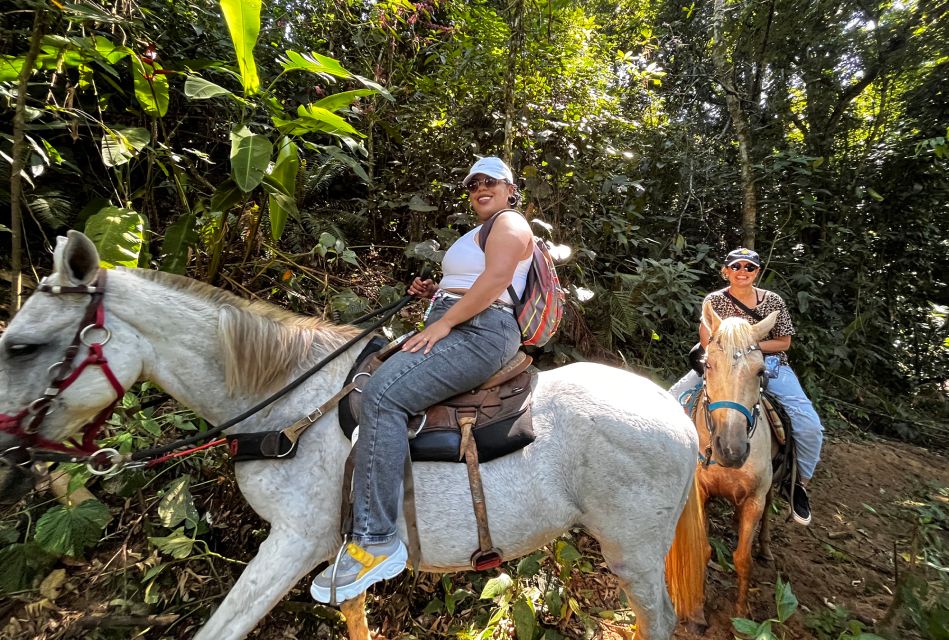 Paraty: 3-Hour Rainforest Horseback Ride - Booking Information