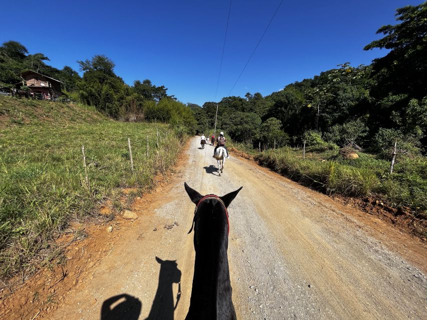 Paraty: 3-Hour Rainforest Horseback Ride - Frequently Asked Questions