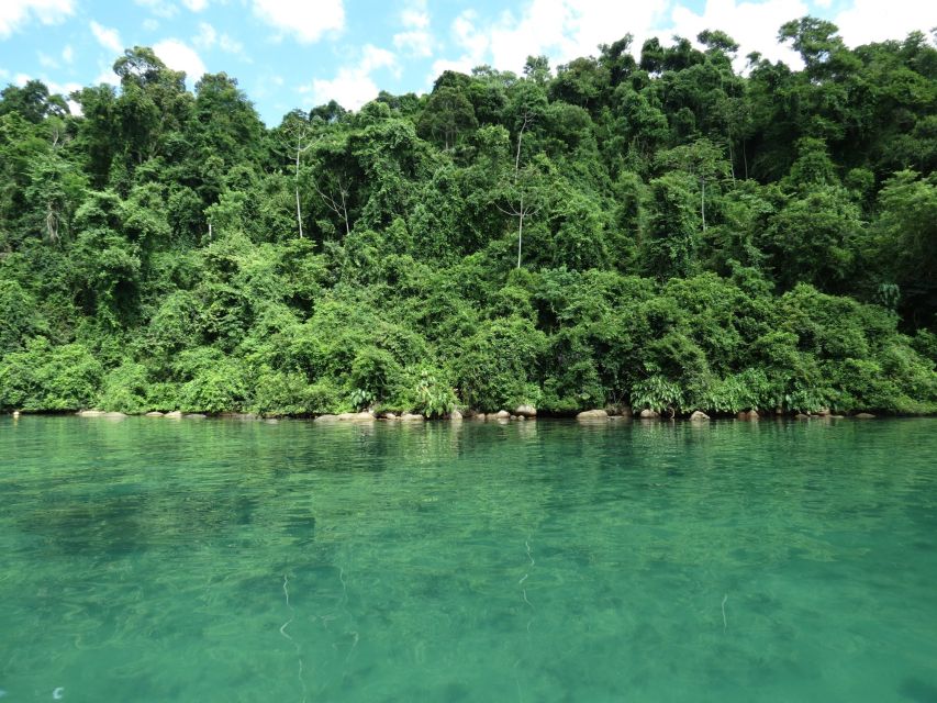 Paraty: Jeep Tour Waterfalls With Cachaça Tasting - Exploring the Mata Atlântica