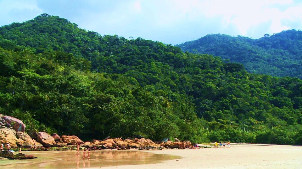 Paraty: Jeep Tour Waterfalls With Cachaça Tasting - Visitor Experiences and Feedback