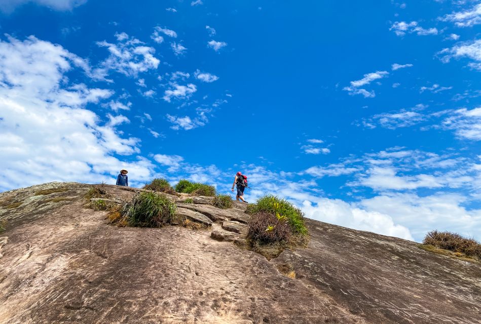 Paraty: Sugarloaf Peak Trekking and Hiking Tour - What to Expect on the Hike