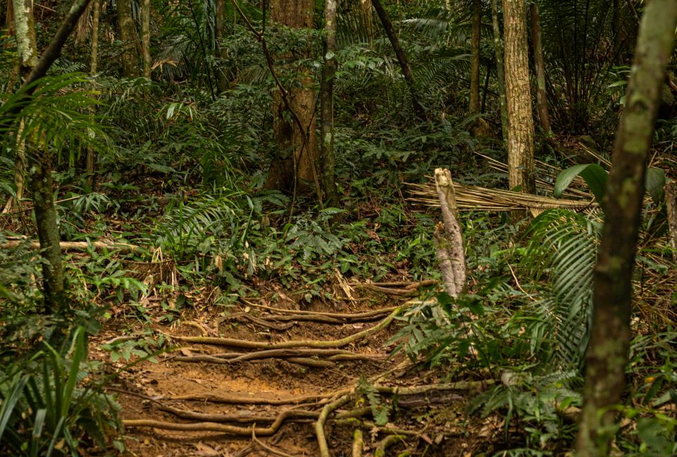 Paraty: Sugarloaf Peak Trekking and Hiking Tour - Booking and Cancellation Policies