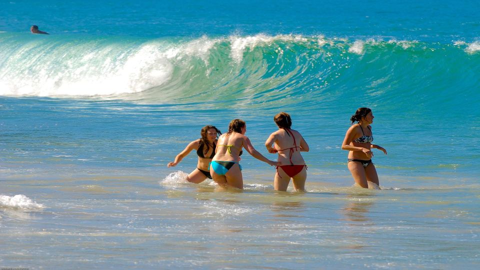 Paraty: Trindade Cove Tour With Cepilho Beach and Hike - Key Points