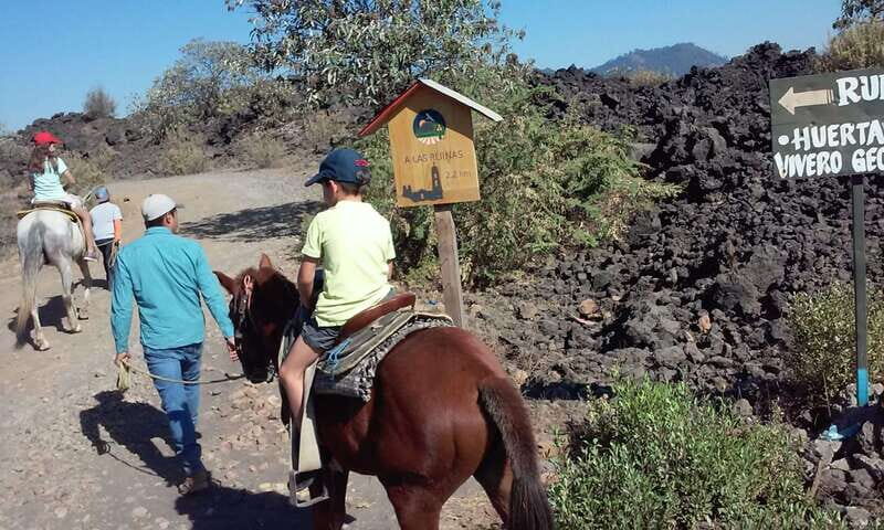 Paricutin Volcano Crater Special Tour - What’s Included and What’s Not
