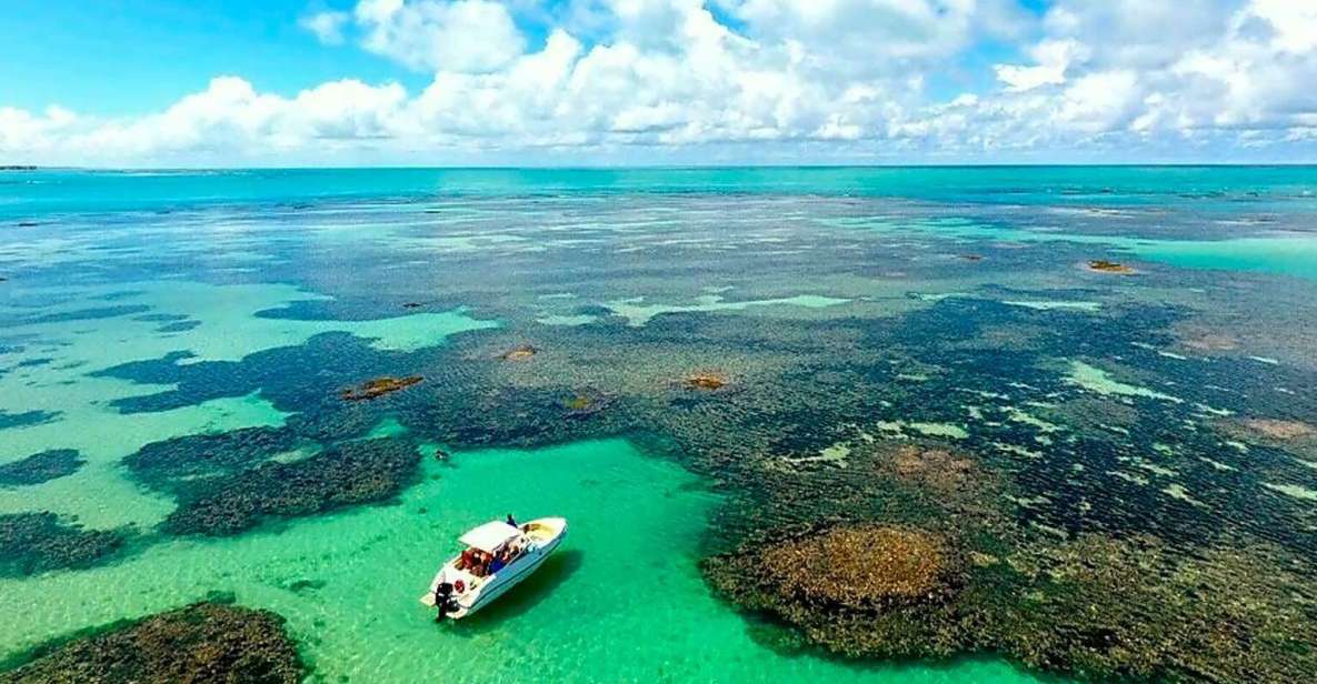 Paripueira Beach Day Tour - Key Points