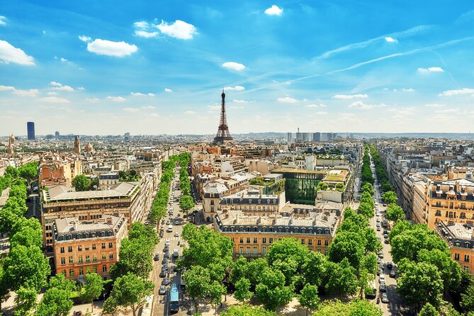 Paris Airport Transfer: Paris Airport CDG to Paris by Luxury Van - Vehicle Information