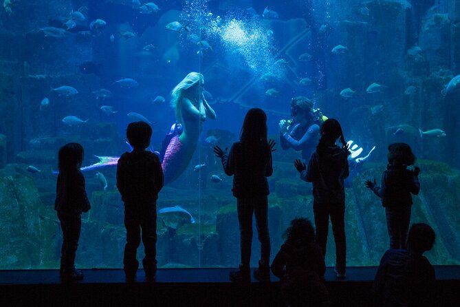 Paris All-Inclusive Pass and Paris Museum Pass: Save up to 50% - Negative Feedback Concerns