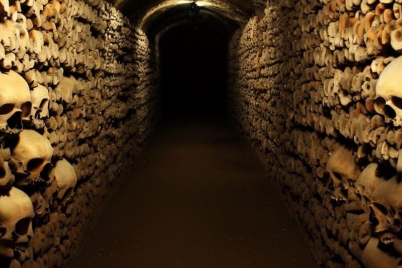 Paris: Catacombs Entry Ticket, Audio Guide, and River Cruise - Experience Highlights