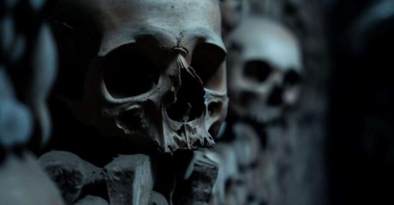 Paris: Catacombs Entry Ticket, Audio Guide, and River Cruise - Important Information