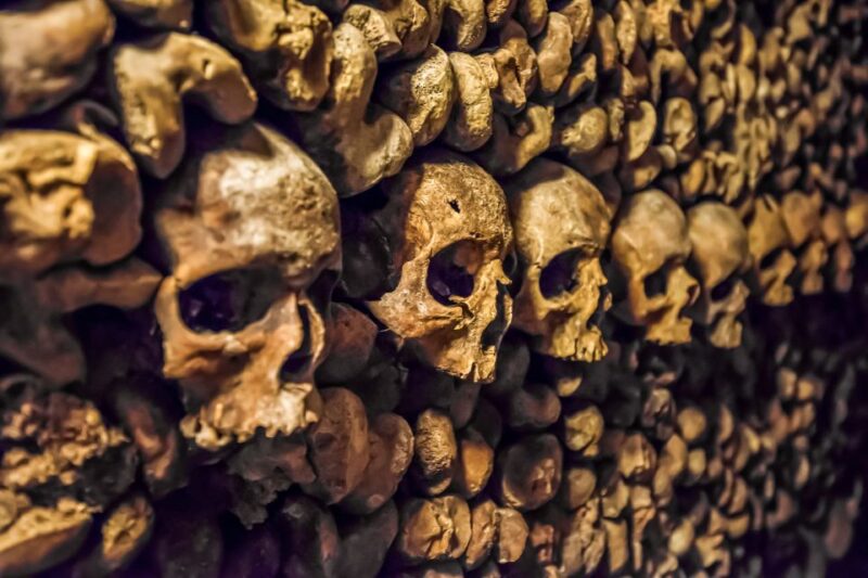 Paris: Catacombs Restricted Access Tour - Experience Highlights