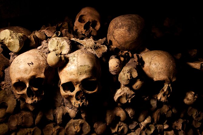 Paris Catacombs Skip the Line Audio-Guided Tour and Cruise Ticket - Key Points