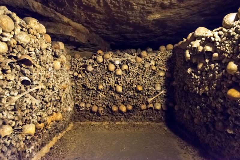 Paris: Catacombs Tour and Seine River Cruise - Unique Aspects of the Cruise