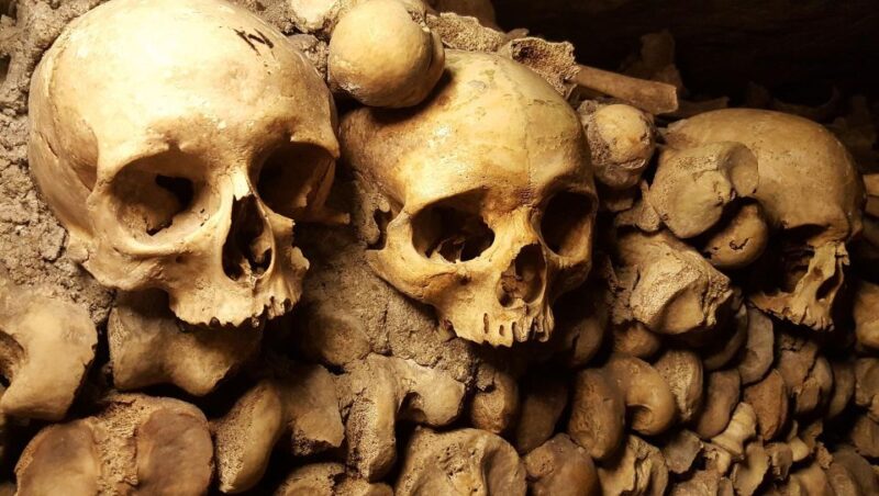 Paris: Catacombs Tour and Seine River Cruise - Frequently Asked Questions