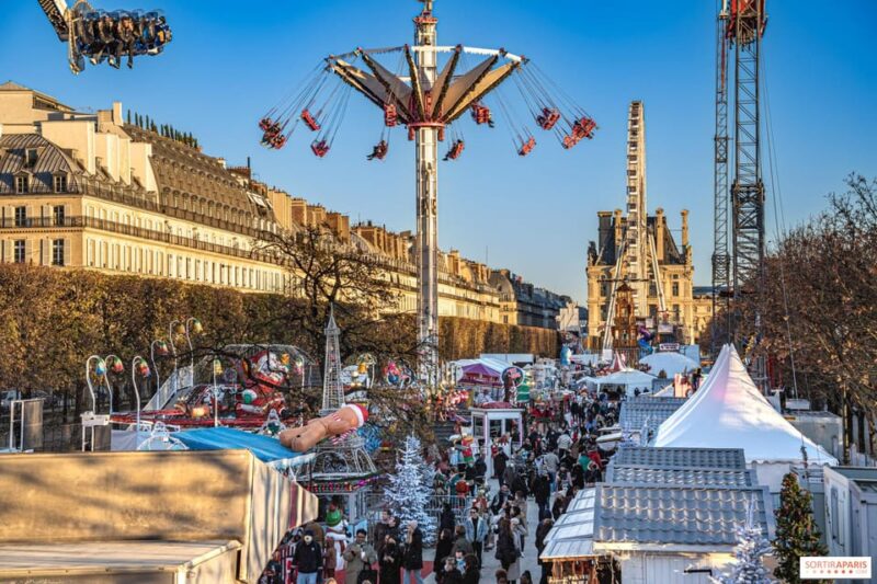 Paris: Christmas Private City Tour by Car - Highlights and Activities