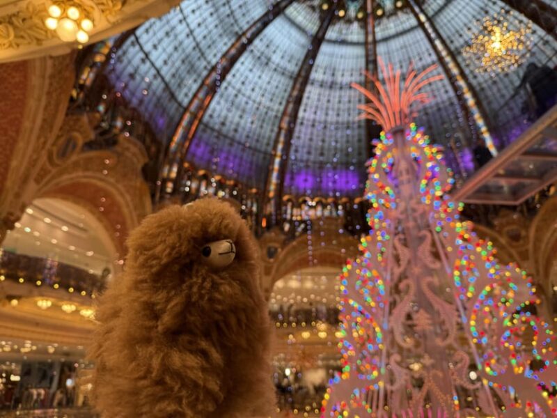 Paris: Christmas Private City Tour by Car - Guided Experience