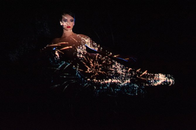 Paris Crazy Horse Cabaret Show With Beverages Including Champagne - Included Features and Upgrade Options