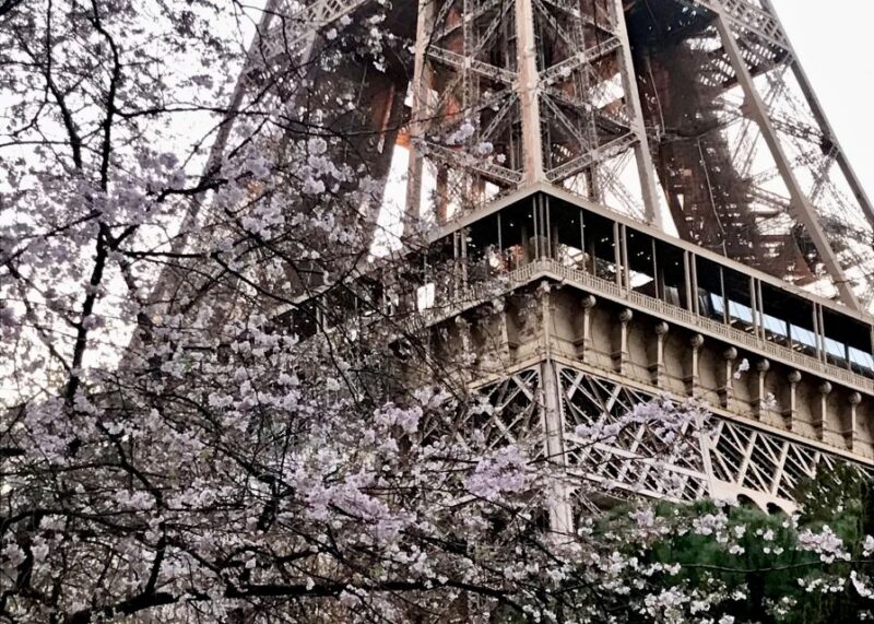 Paris: Eiffel Tower Guided Tour With Summit Access - Meeting Point Details