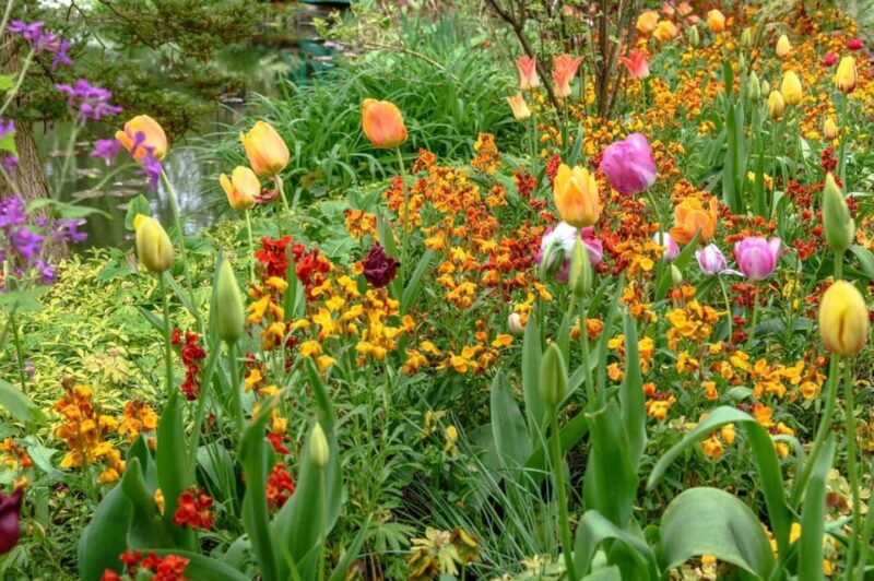Paris: Giverny Private Half-Day Trip to Monets Garden - Itinerary Highlights