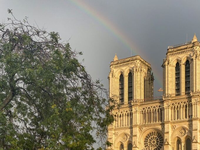 Paris: Île De La Cité and Notre Dame Walking Tour With Crypt - Ask Away